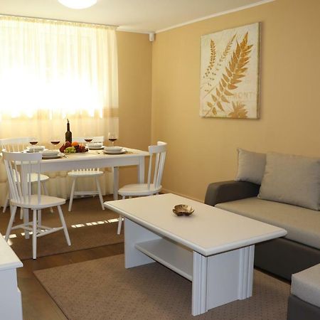 Cluj City Center Apartment Eksteriør bilde